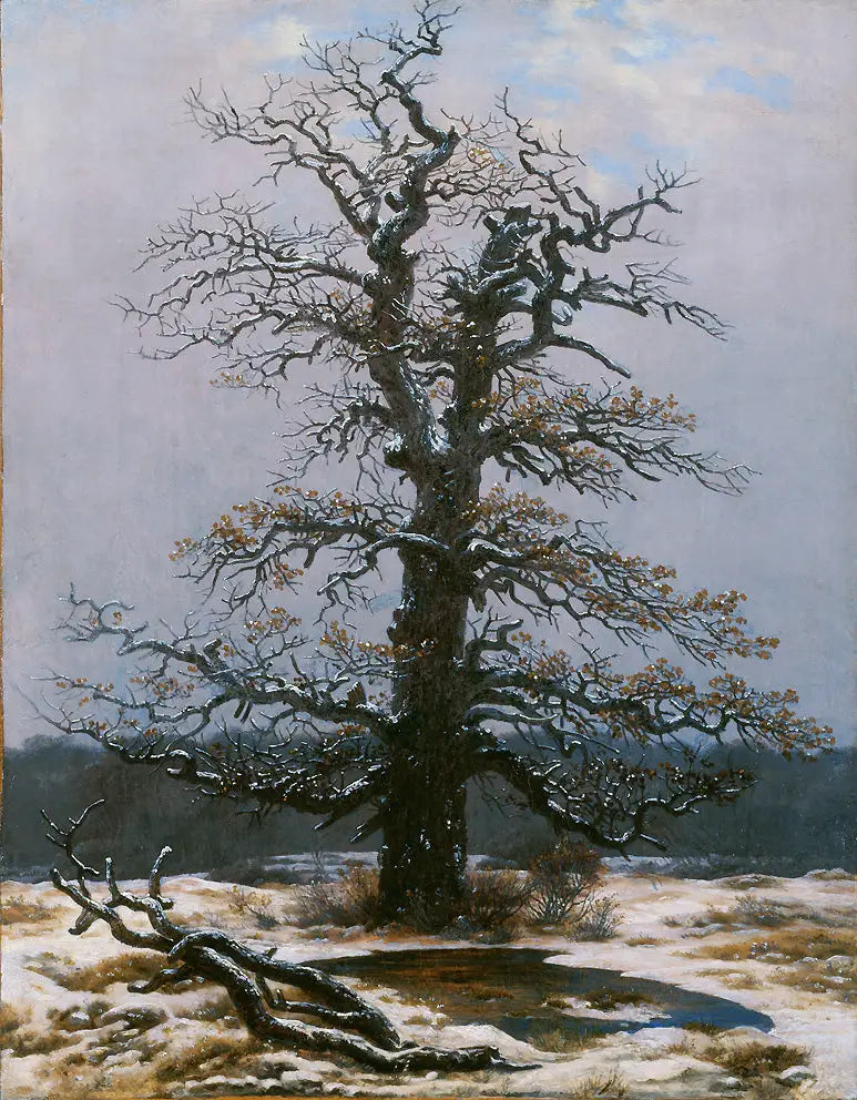 Eiche unter dem Schnee - Caspar David Friedrich