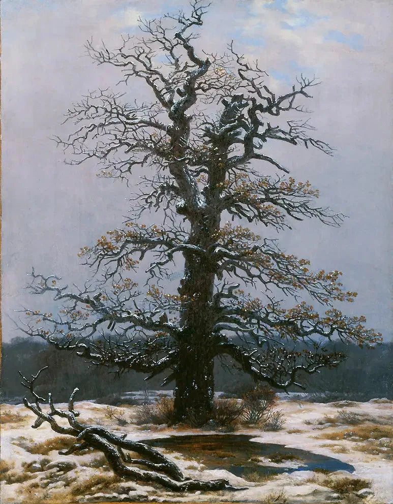 Eiche unter dem Schnee - Caspar David Friedrich