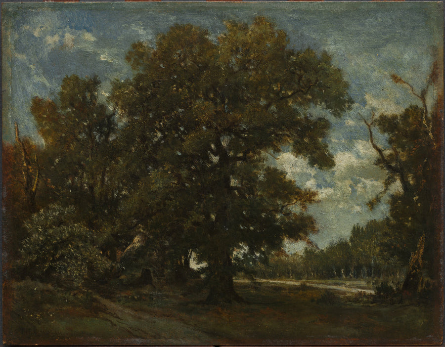 Le chêne - Théodore Rousseau