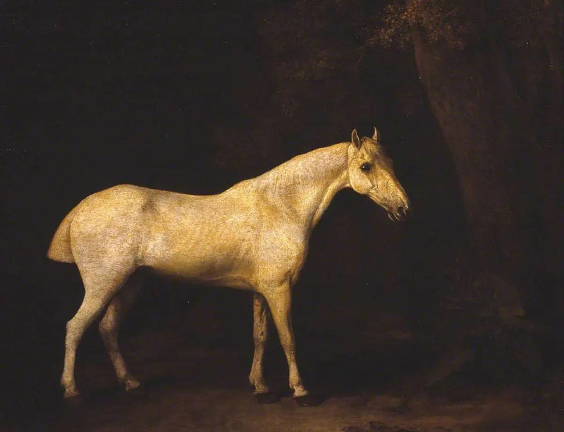 Pferd im Schatten eines Waldes - George Stubbs