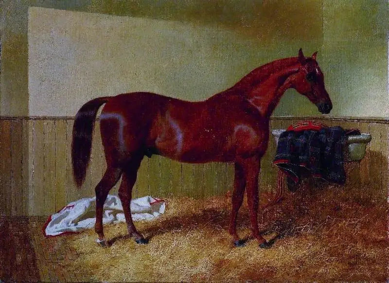 Cheval braun in einer Stallung - John Frederick Herring, Sr.