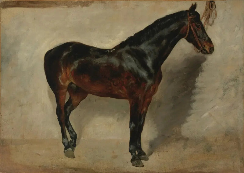 Brauner Pferd am Anbinder - Eugène Delacroix