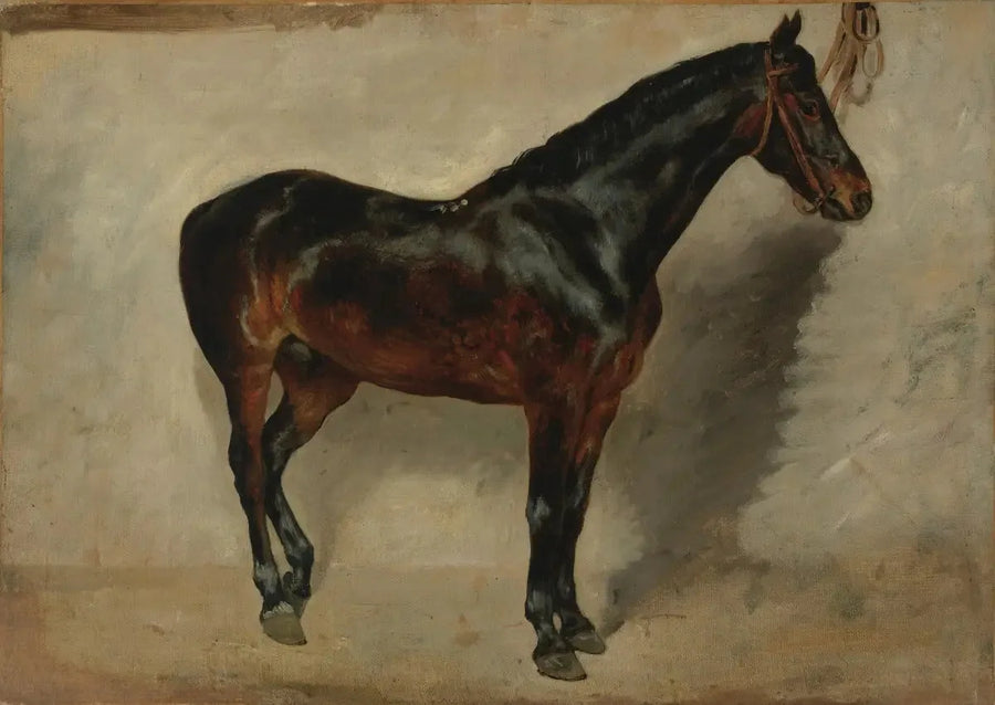 Brauner Pferd am Anbinder - Eugène Delacroix
