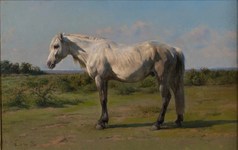 Weißes Pferd im Feld - Rosa Bonheur