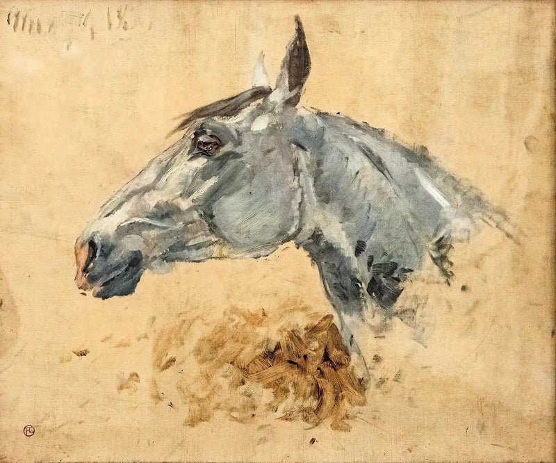 Weißes Pferd Gazelle - Henri de Toulouse-Lautrec