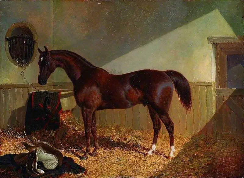 Brauner Pferd in einer Stallung - John Frederick Herring, Sr.