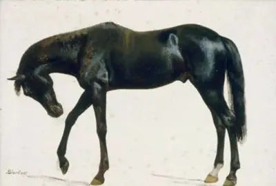 Schwarzes Pferd - Albert Bierstadt