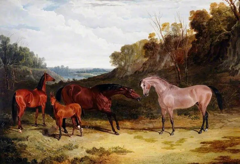 Pferde in einer Landschaft - John Frederick Herring, Sr.