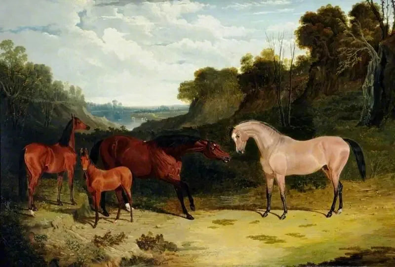 Pferde in einer Landschaft - John Frederick Herring, Sr.