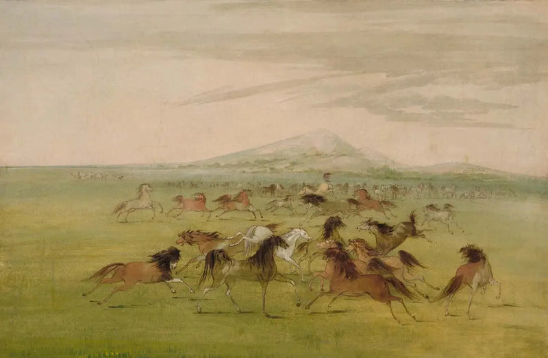 Wilde Pferde im Spiel - George Catlin
