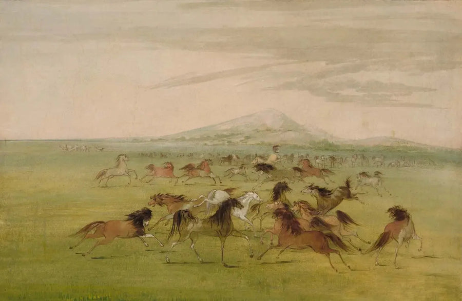 Wilde Pferde im Spiel - George Catlin