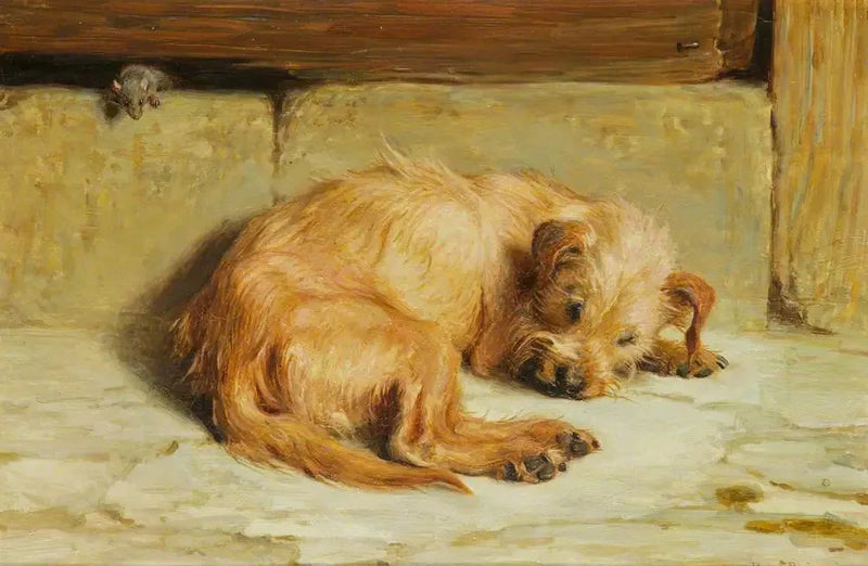Wachhund - Briton Rivière