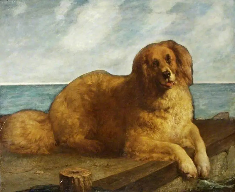 Hund - Edwin Henry Landseer