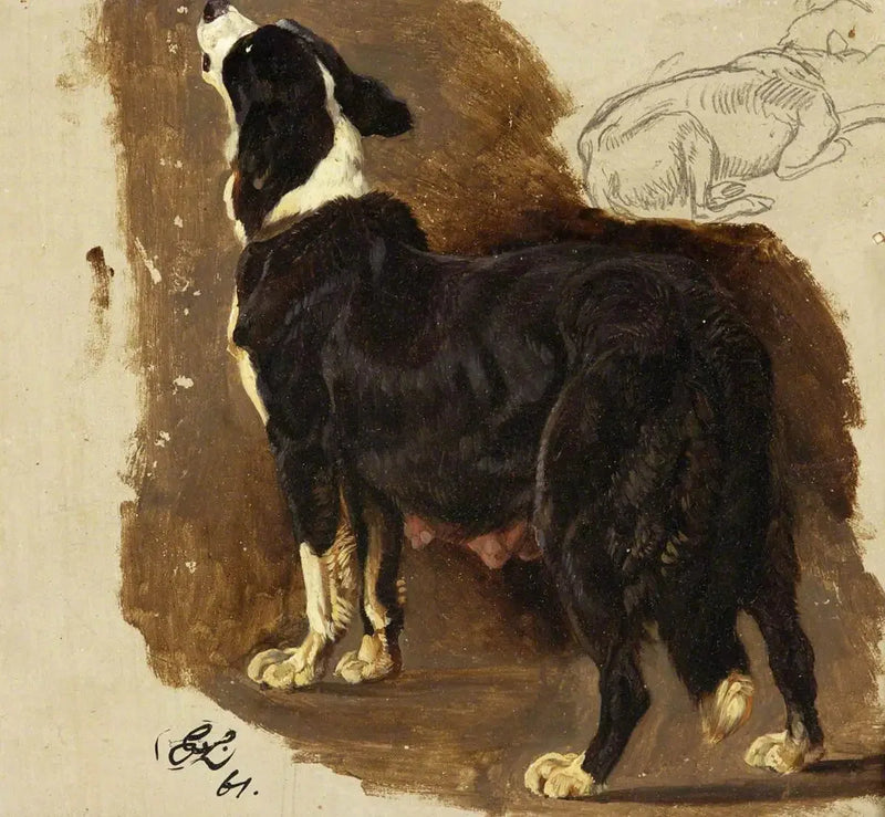 Colley-Hündin - Edwin Henry Landseer