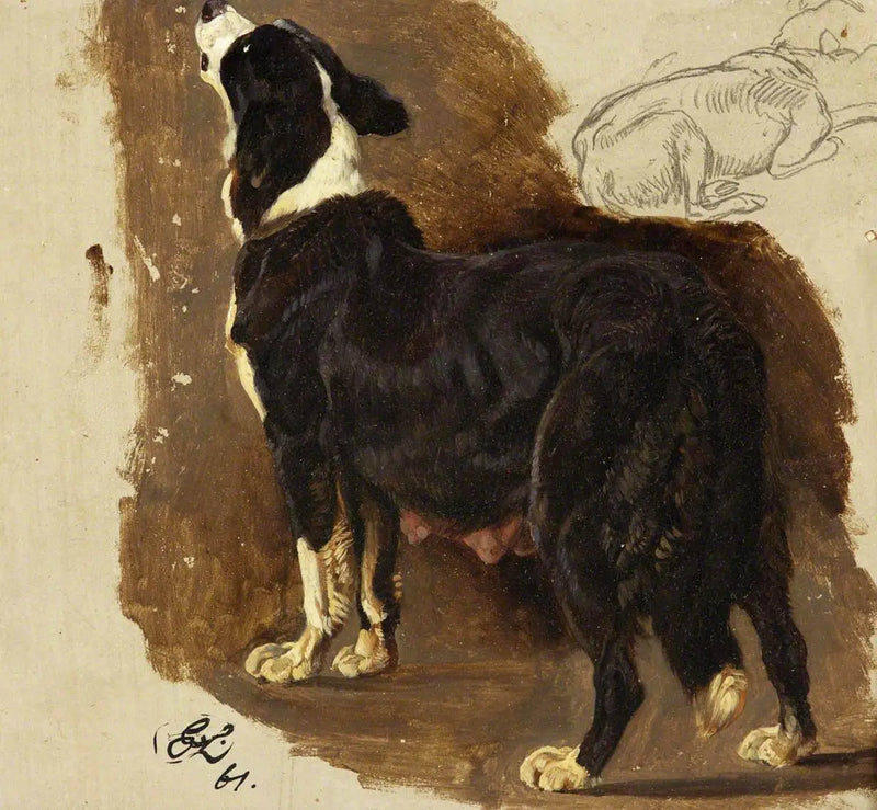 Colley-Hündin - Edwin Henry Landseer