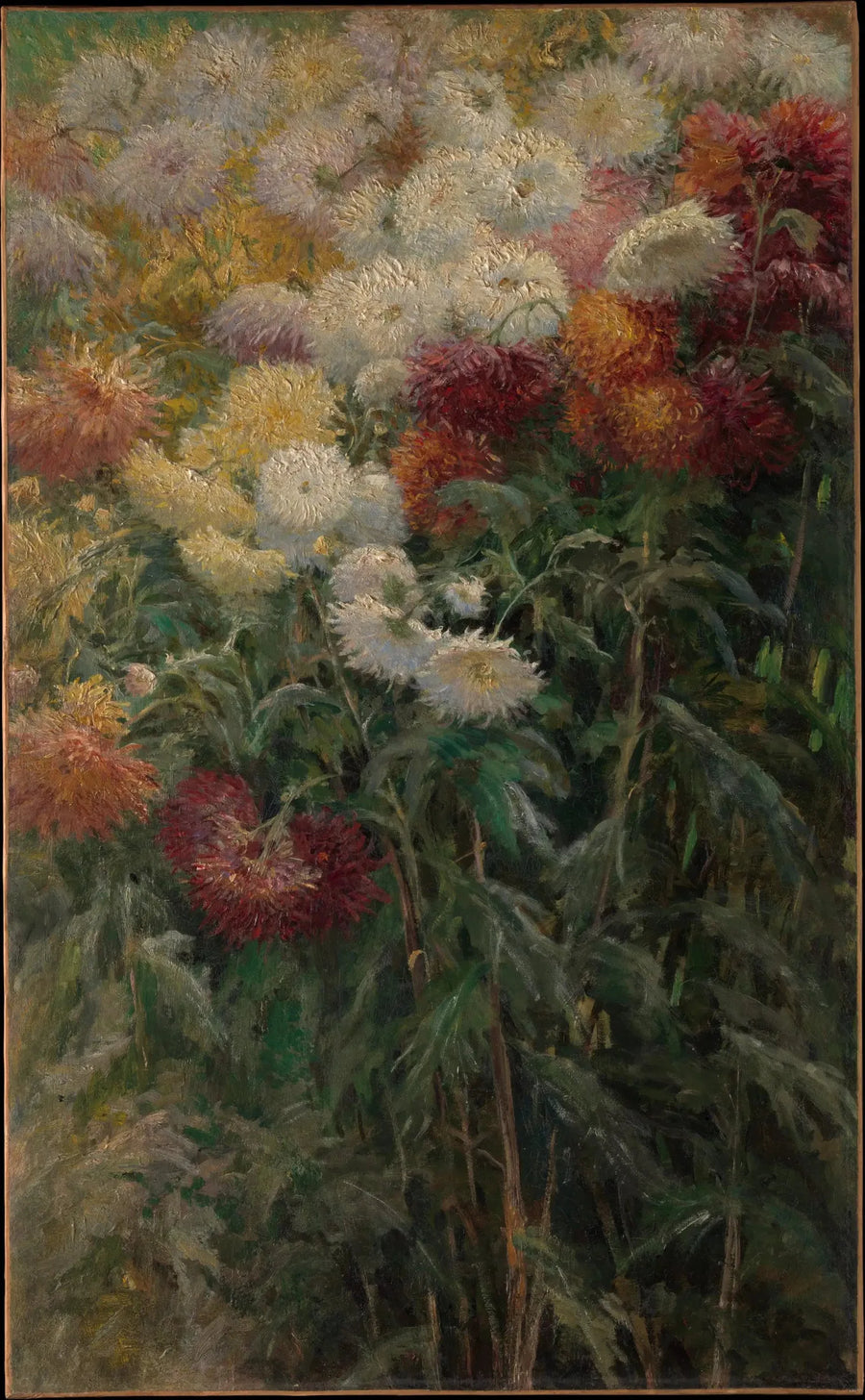 Chrysanthemen im Garten von Petit Gennevilliers - Gustave Caillebotte