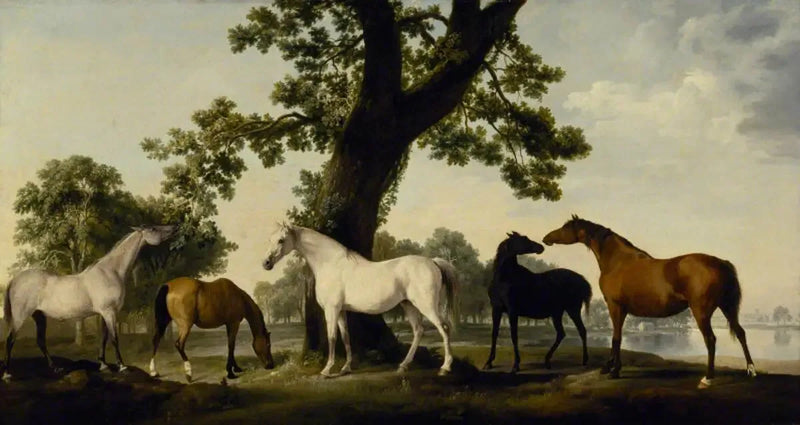 Fünf Stuten bei der Zucht des Herzogs von Cumberland im Großen Windsorpark - George Stubbs