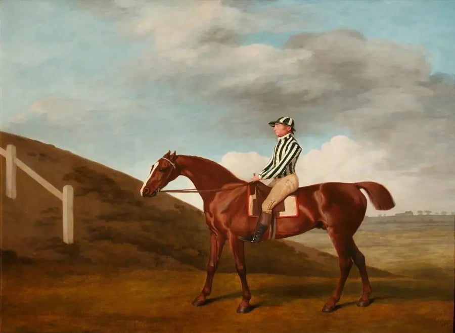 Kürbis - George Stubbs