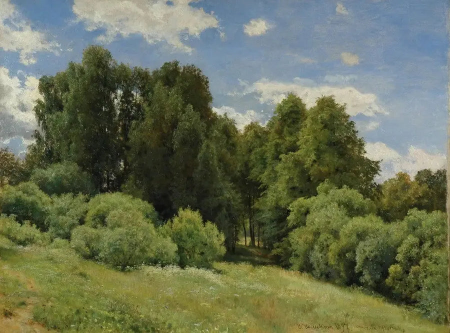 Lichtung (Lichtung im Wald) - Ivan Chichkine