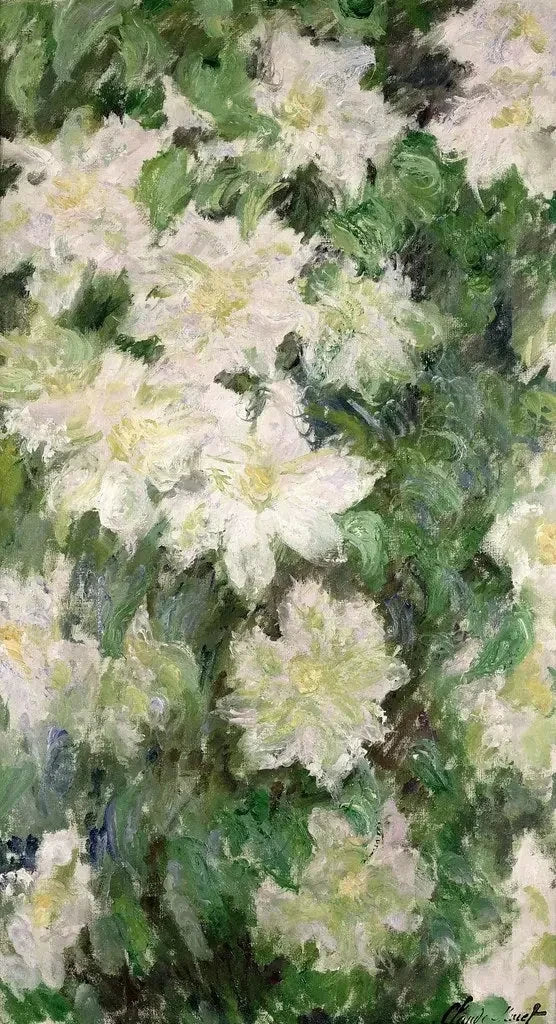 Weiße Clematis W1144 - Claude Monet
