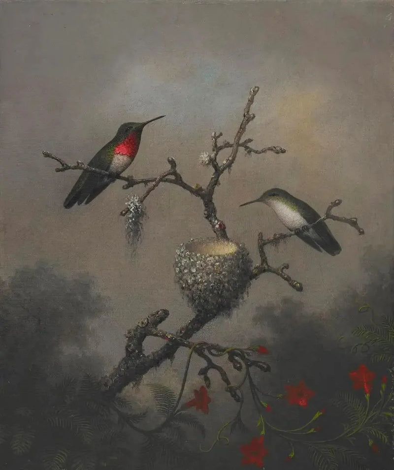 Rubin-Kolibri - Martin Johnson Heade