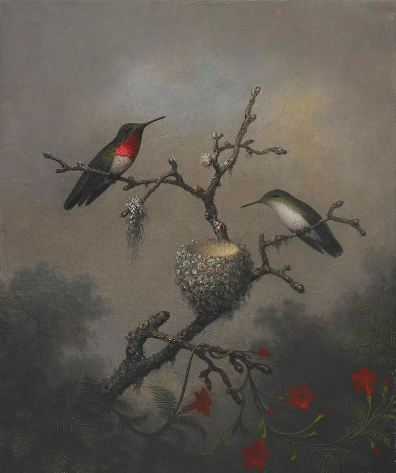 Rubin-Kolibri - Martin Johnson Heade