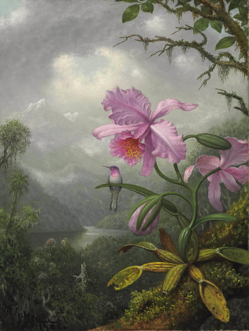 Kolibri auf der Orchideenpflanze - Martin Johnson Heade