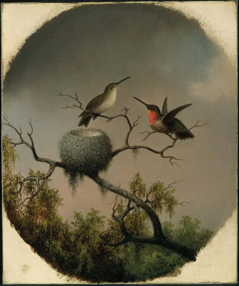 Kolibris mit Nest - Martin Johnson Heade