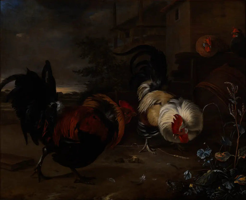 Hahnkampf - Melchior de Hondecoeter