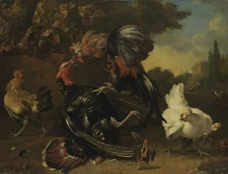 Kampf zwischen einem Hahn und einer Truthenne - Melchior de Hondecoeter