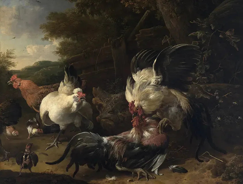 Hahnkämpfe - Melchior de Hondecoeter
