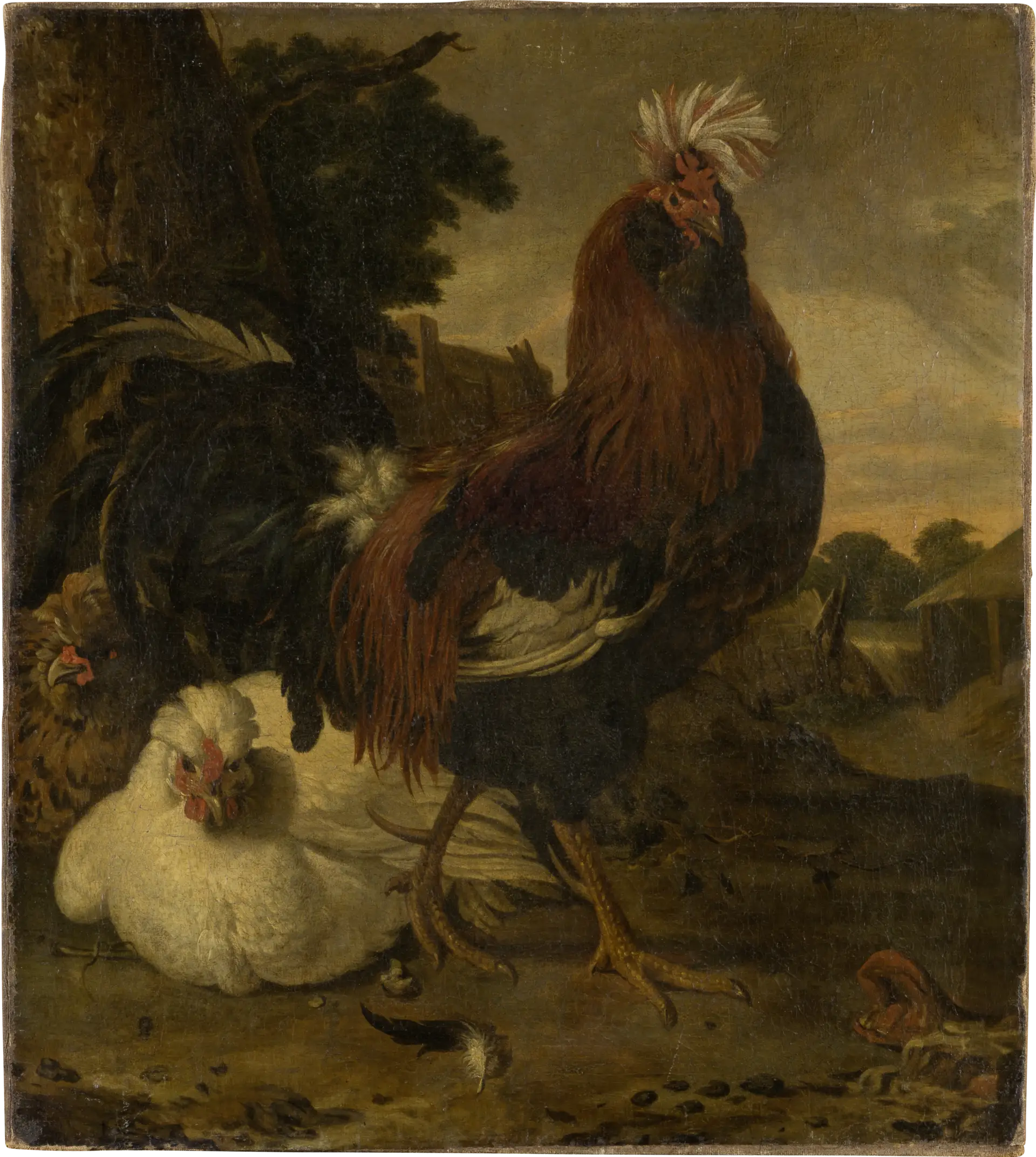 Coq dans une basse-cour - Melchior de Hondecoeter image 1 copie de tableau peinte à la main