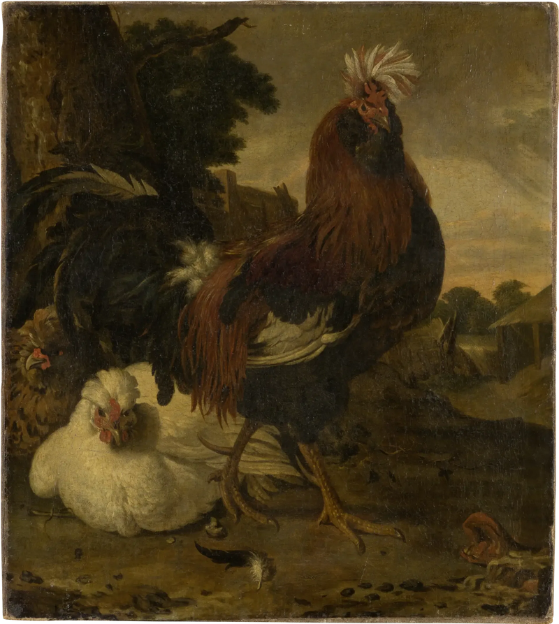 Hahn im Hühnerstall - Melchior de Hondecoeter