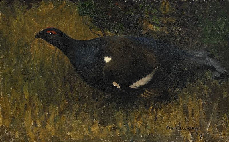 Birkhuhnhahn - Bruno Liljefors