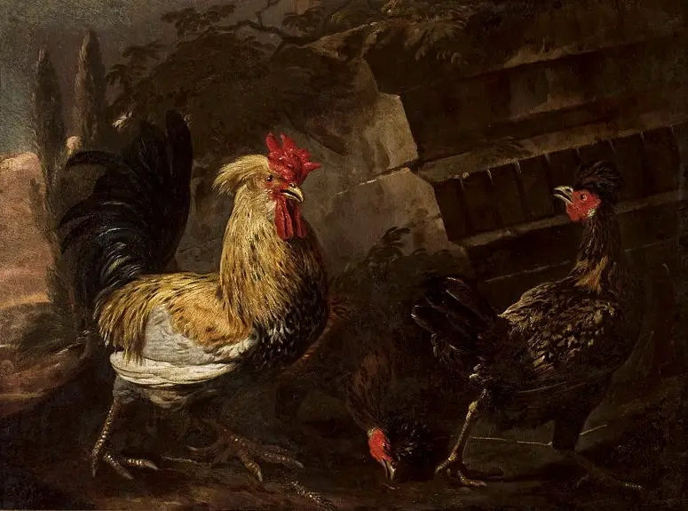 Hahn und Hühner. - Melchior de Hondecoeter