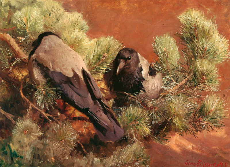 Kapuzenraben – Bruno Liljefors