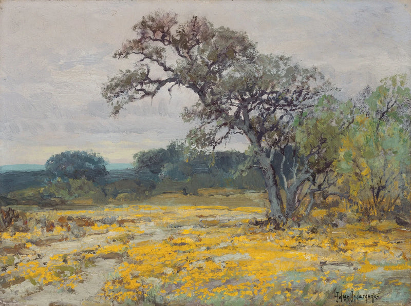 Cor��opsis, in der Nähe von San Antonio, Texas – Julian Onderdonk