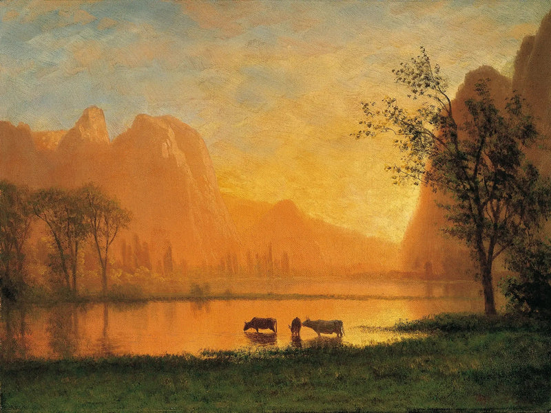 Sonnenuntergang in Yosemite - Albert Bierstadt