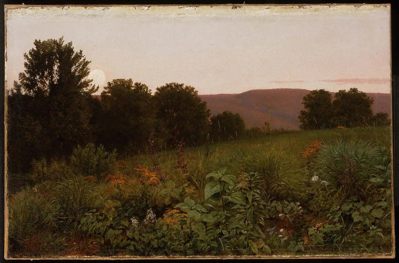 Sonnenuntergang auf der Wiese - William Trost Richards