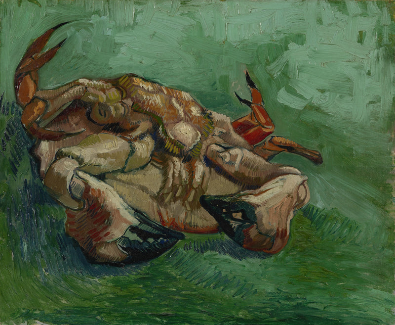 Krabbe, auf dem Rücken liegend - Vincent van Gogh