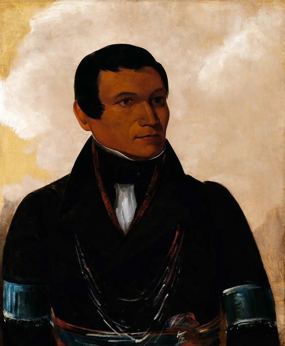 Cú-sick, fils du chef - George Catlin image 1 reproduction de peinture à l’huile
