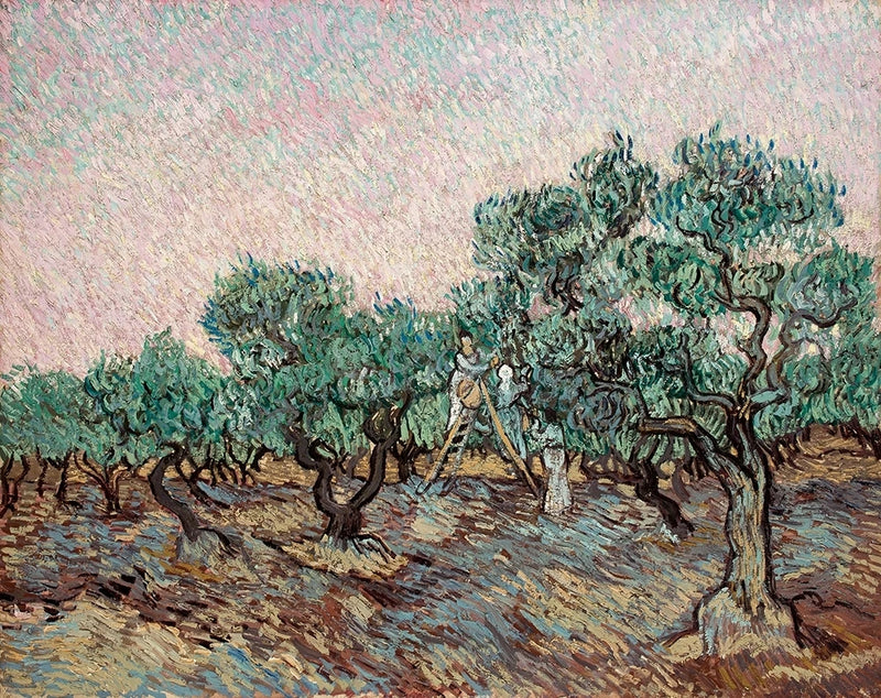 Olivenernte - Vincent van Gogh