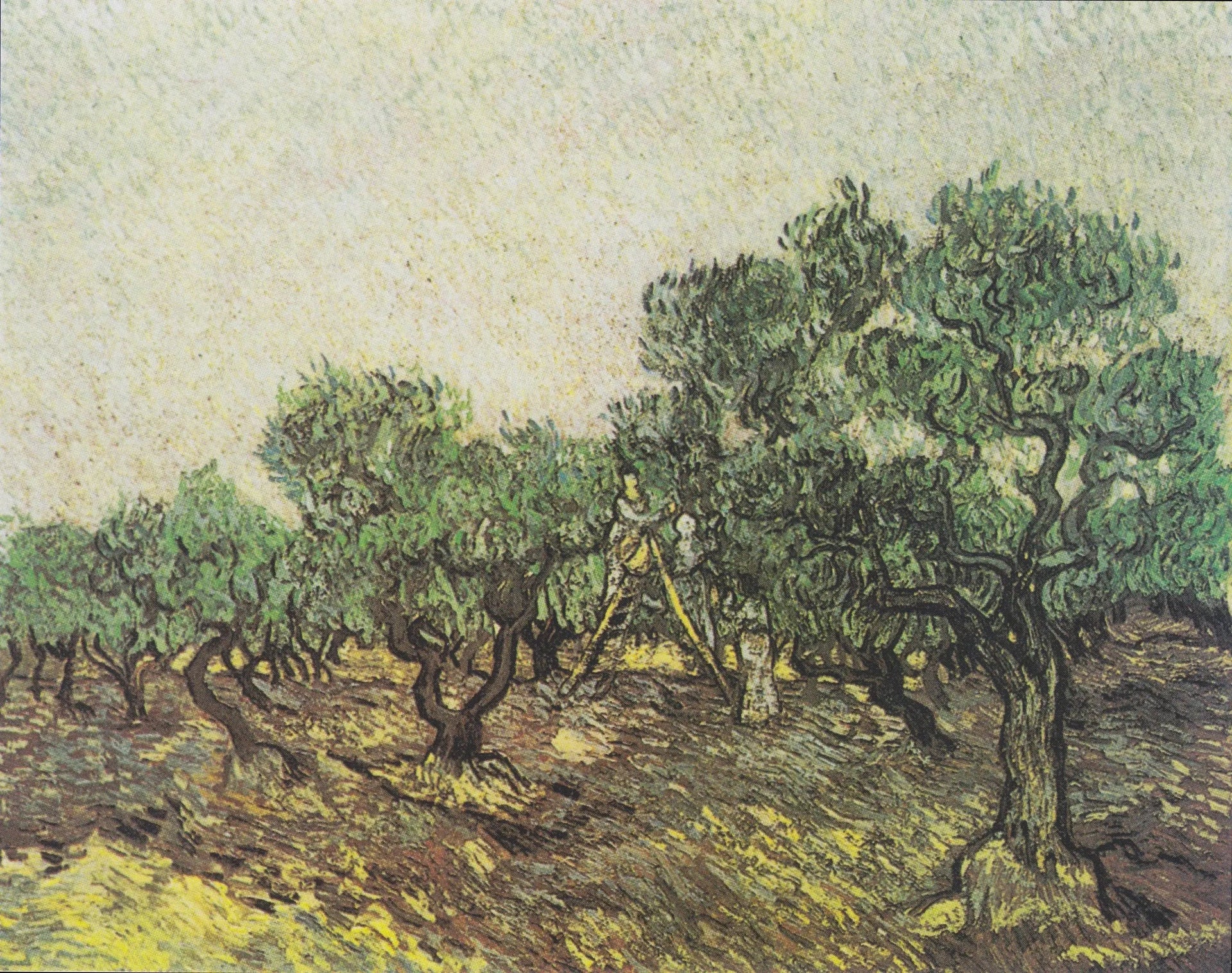 Cueillette des olives - Vincent van Gogh image 1 reproduction de peinture à l’huile