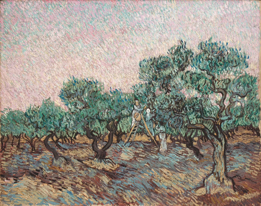 Die Olivenernte - Vincent van Gogh