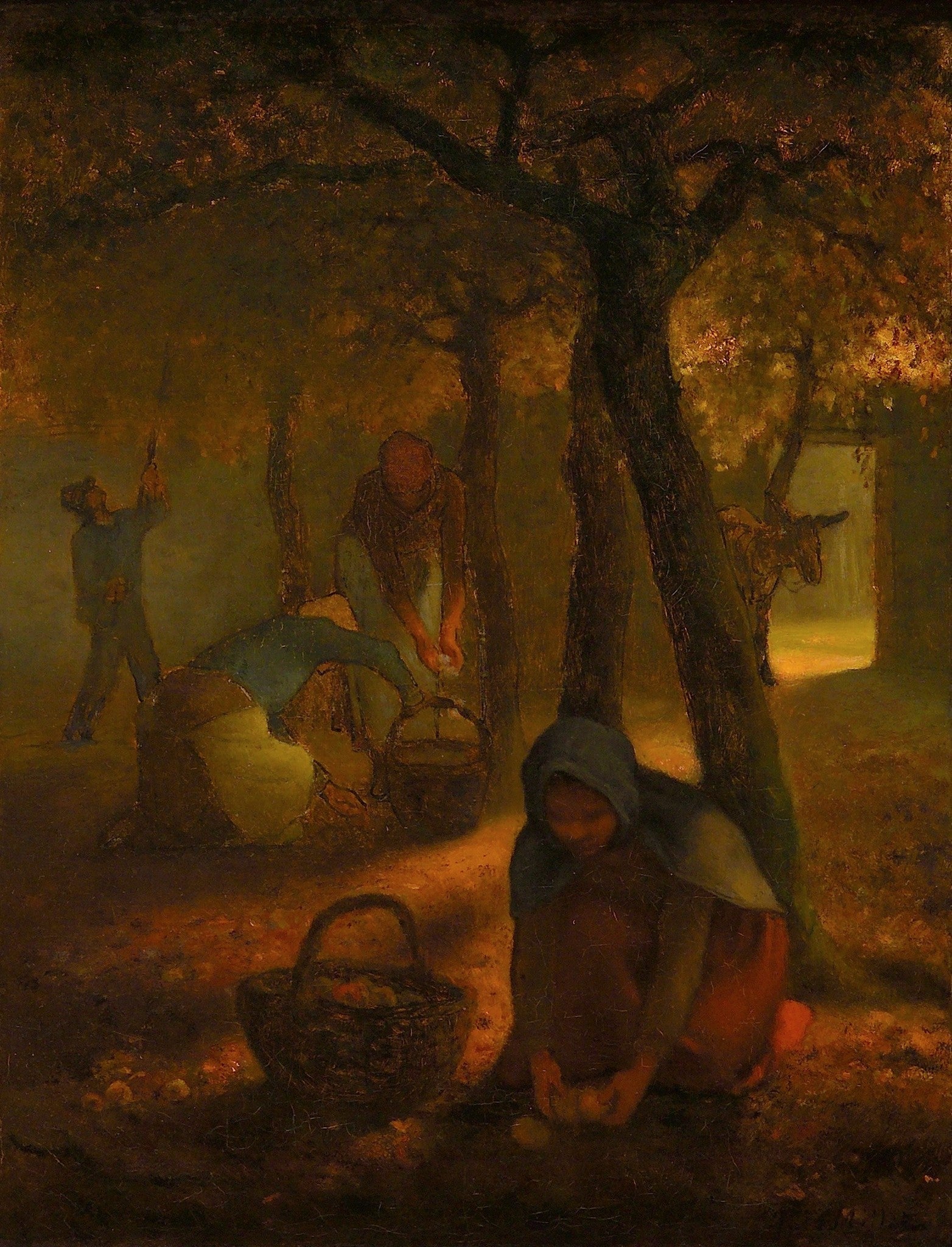 Apfelpflücker - Jean-François Millet