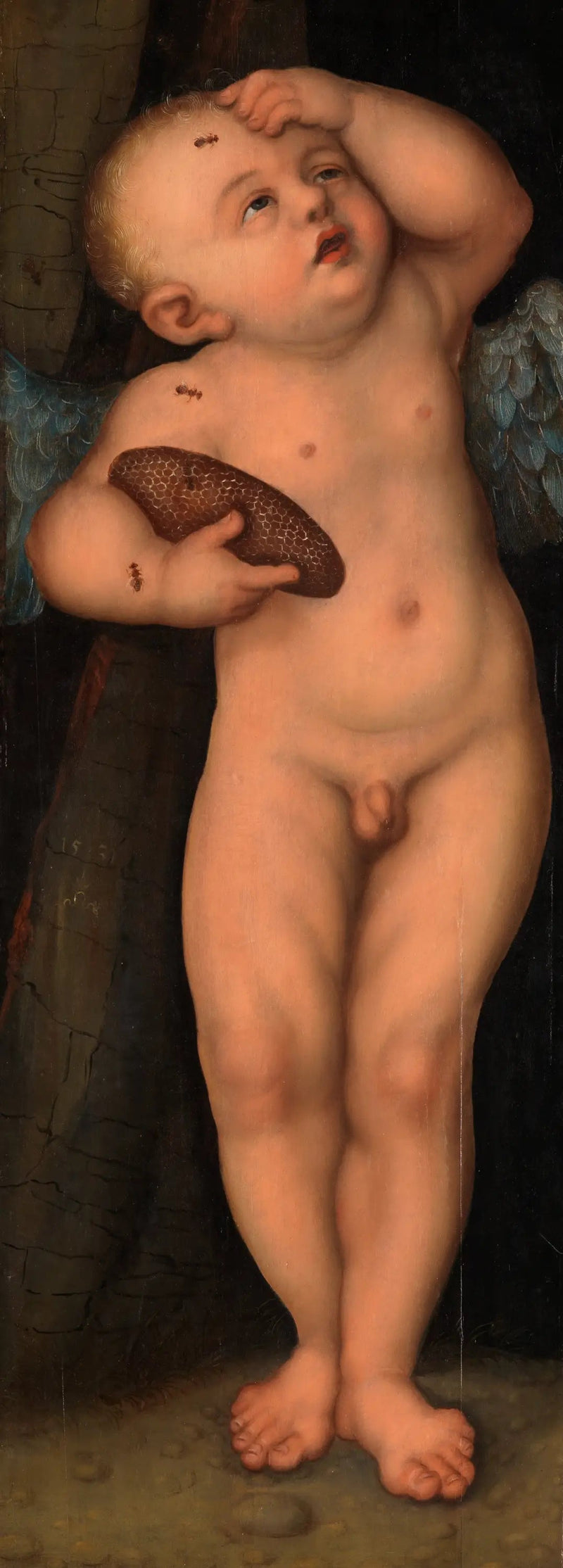 Cupidon als Honigdiebstahl - Lucas Cranach der Ältere