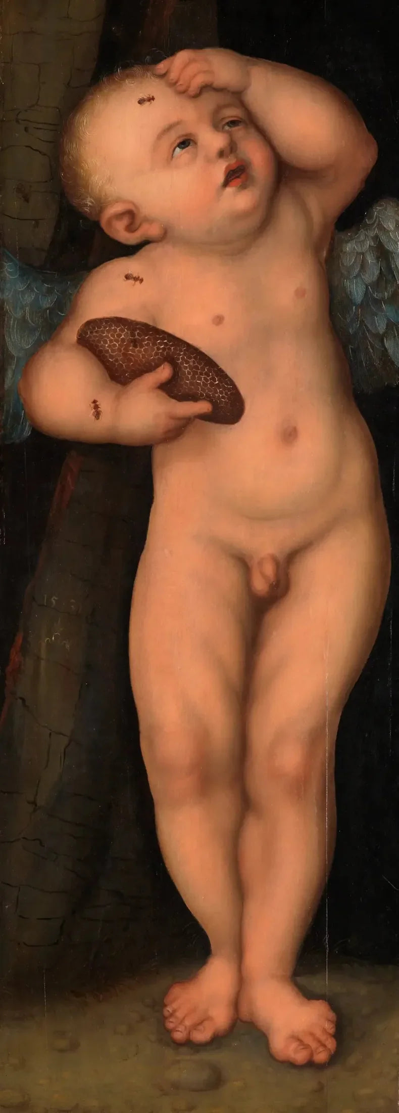 Cupidon als Honigdiebstahl - Lucas Cranach der Ältere