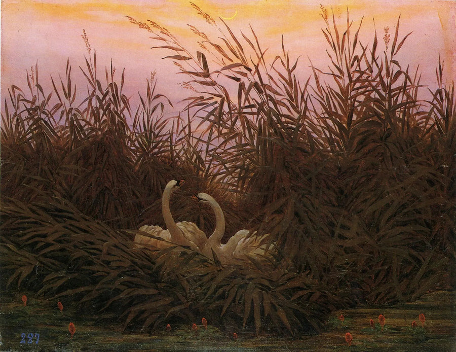 Schwäne im Schilf bei der ersten Dämmerung - Caspar David Friedrich