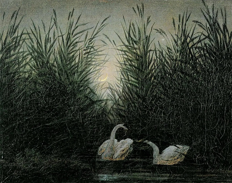 Schwäne im Schilf im ersten Licht der Dämmerung - Caspar David Friedrich