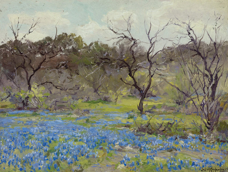 Frühlingsanfang 😉 Blaue Lupinen und Mesquite - Julian Onderdonk